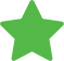 Green star icon